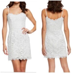 Dress the Population Gwen Lace Dress Size Medium Cottagecore Feminine